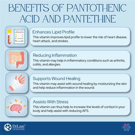 pantethine benefits